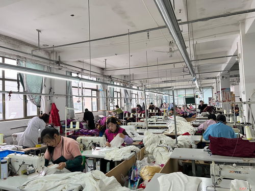 莊浪制衣廠 縫紉機聲奏響“開門紅” 數字工程織就發展新藍圖